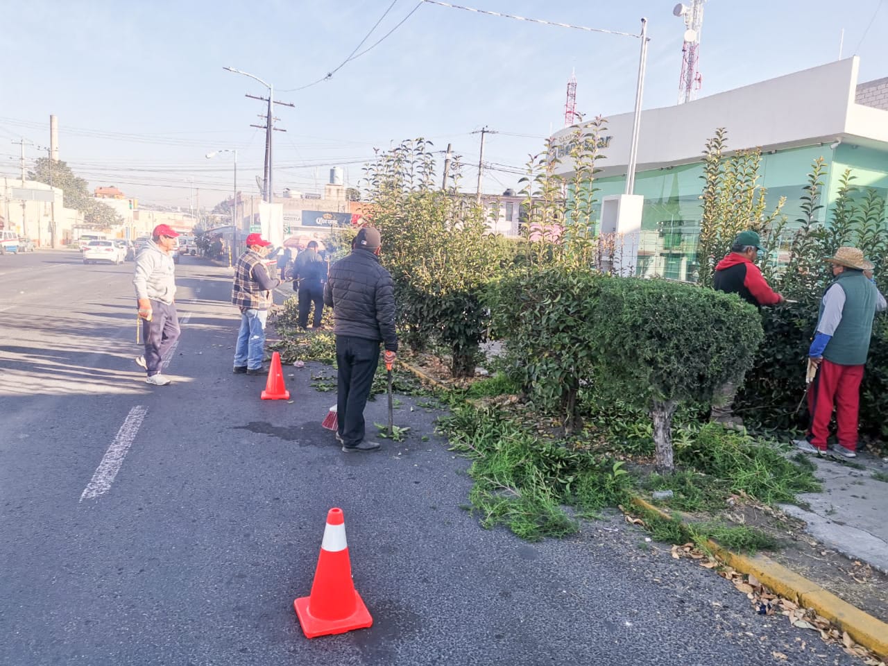 Con poda de árboles mejoran la imagen urbana y refuerzan la seguridad, en Apetatitlán